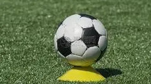 金宝博198bet体育 产品 020153 5hx