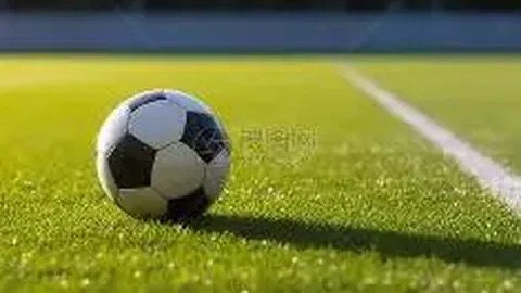 金宝博198bet体育 产品 020101 arf