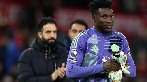 CCTV5全网直播2025年女排世界杯精彩瞬间